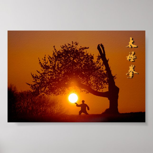 Taichi (taiji), arbre cerisier soleil couchant poster (Front)