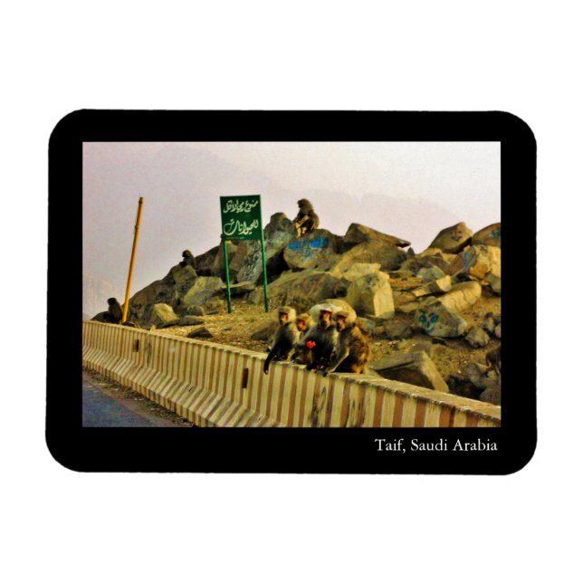 Taif, Saudi Arabia Magnet (Horizontal)