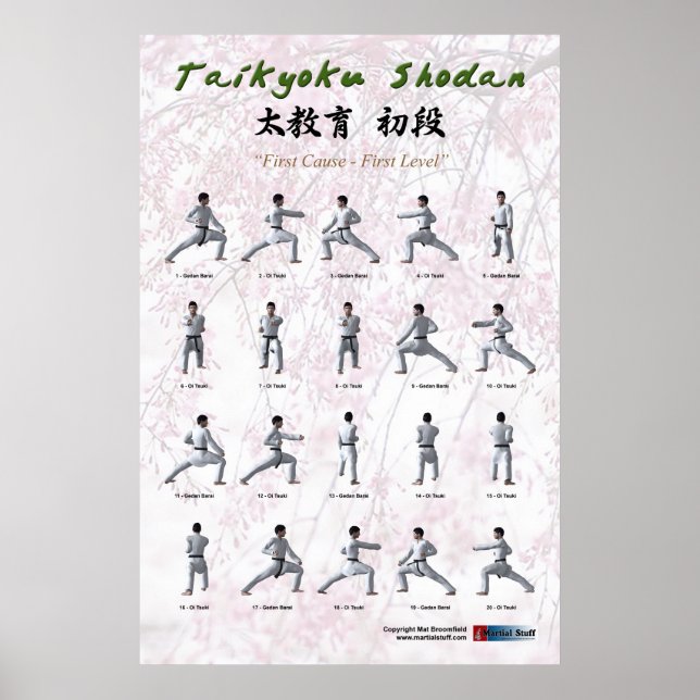 Taikyoku Shodan - First Kata Poster (Front)