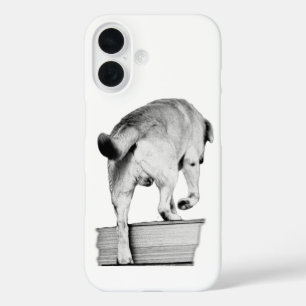 Tail Ahead, Always iPhone 16 Case