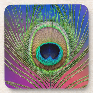 Tail feather of a peacock coaster