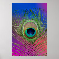 Tail feather of a peacock