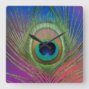 Tail feather of a peacock square wall clock