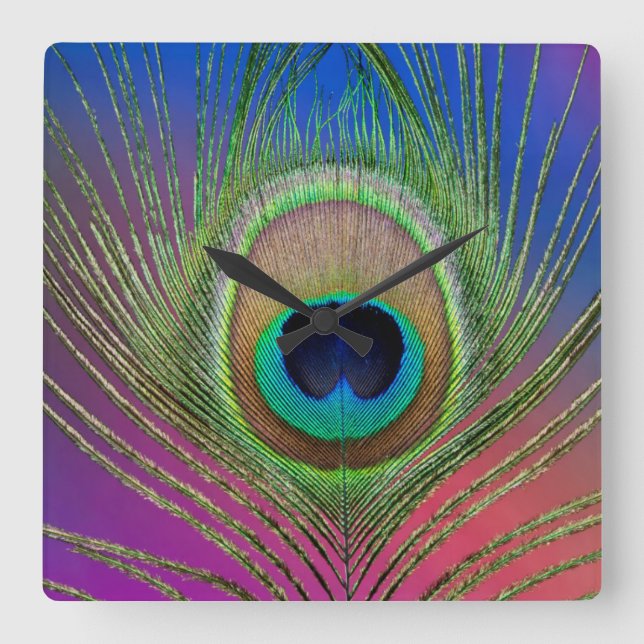 Tail feather of a peacock square wall clock (Front)