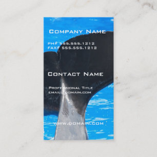 Tail of a Whale Business Cards