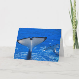 Tail of a Whale Greeting Card