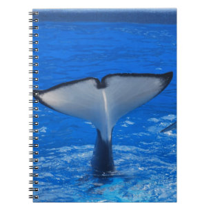 Tail of a Whale Notebook