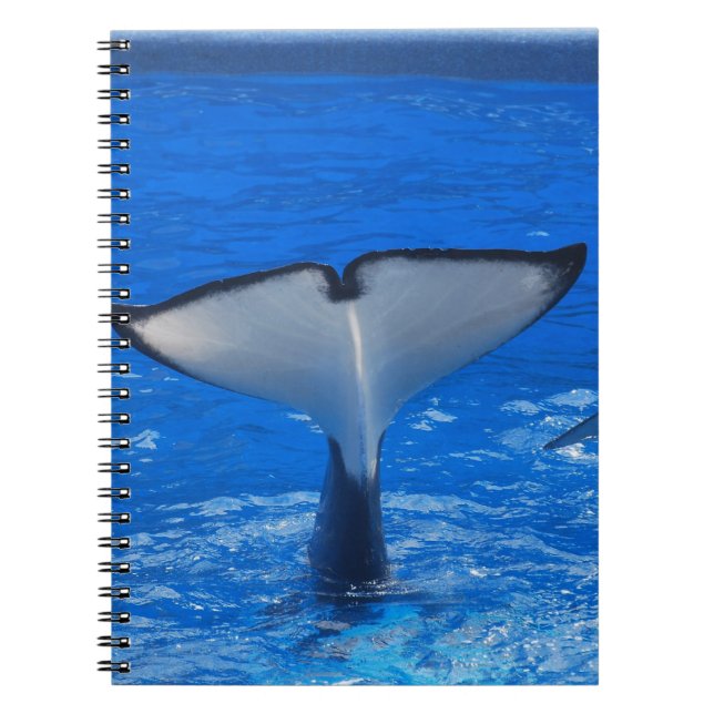 Tail of a Whale Notebook (Front)