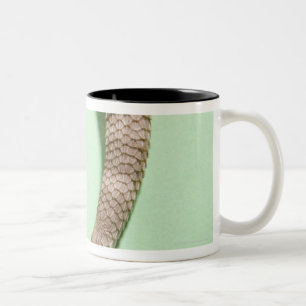 Tail of bearded dragon Two-Tone coffee mug