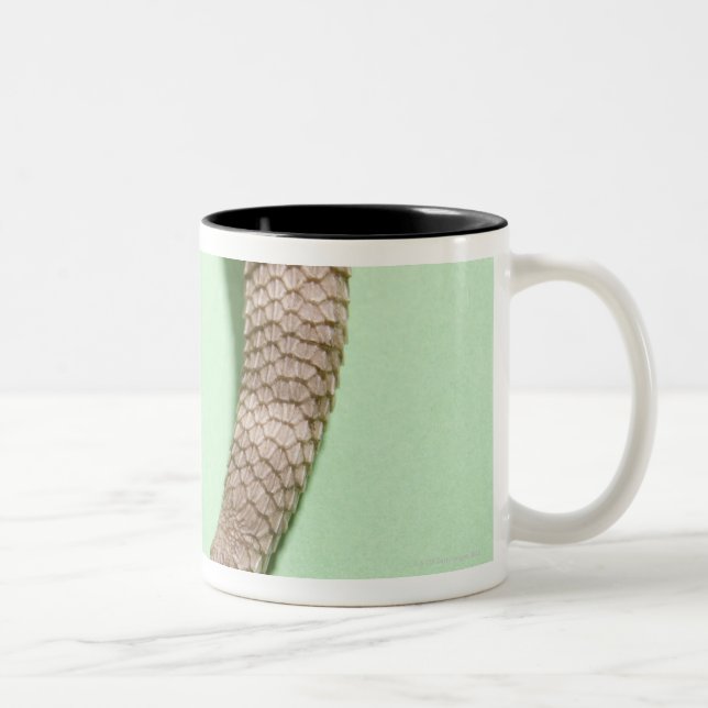 Tail of bearded dragon Two-Tone coffee mug (Right)