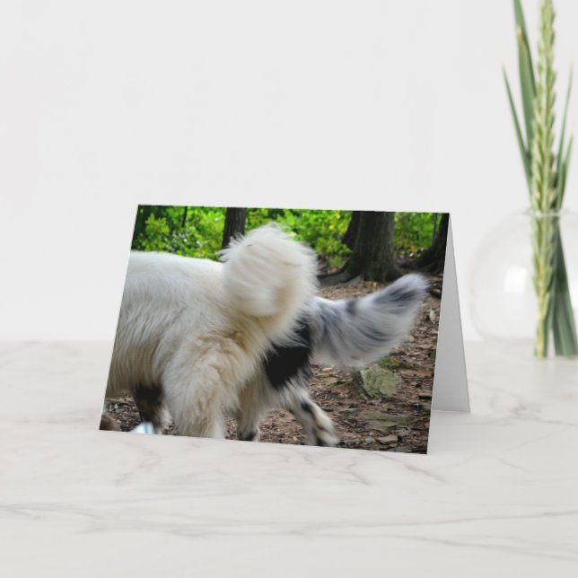 Tail Wagging Ways / Anniversary Card (Front)