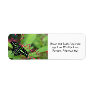 Tailed Jay Butterfly Return Address Label
