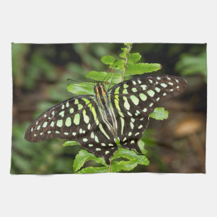Tailed Jay butterfly Tea Towel