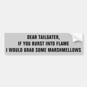 Tailgater, I Would Roast Marshmellows on You Bumper Sticker