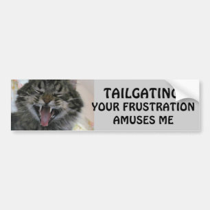 Tailgating? Your Frustration Amuses Laughing Cat Bumper Sticker