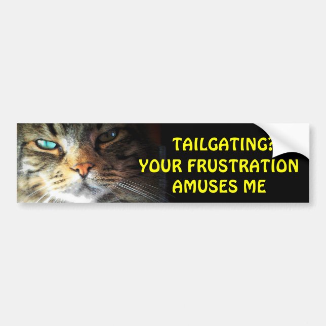 Tailgating? Your Frustration Amuses Me Bumper Cat Sticker (Front)
