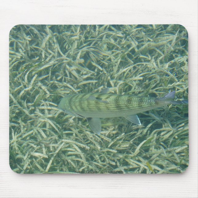 Tailing Bonefish Mouse Pad (Front)
