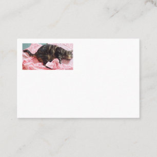 Tailor Dave Business Cards