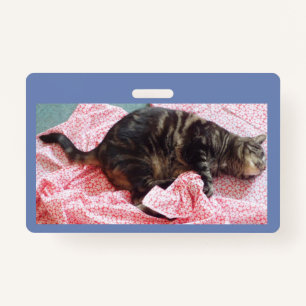 Tailor Dave ID Badge