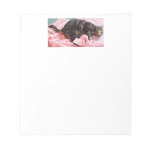 Tailor Dave Notepad