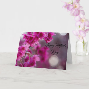 Taiwanese Cherry Tree Blossom Card