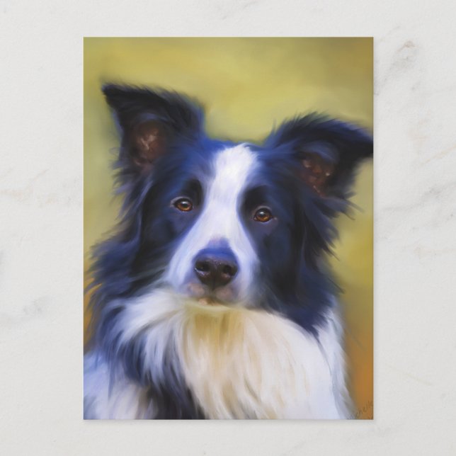 Taj - Border Collie Art Postcard (Front)