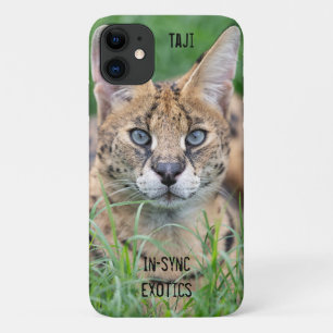 Taji - iPhone 11 case