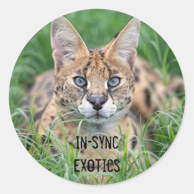 Taji - classic round sticker (Front)