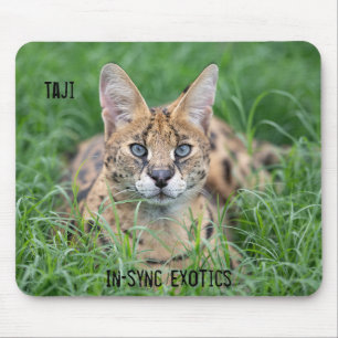 Taji - mouse pad