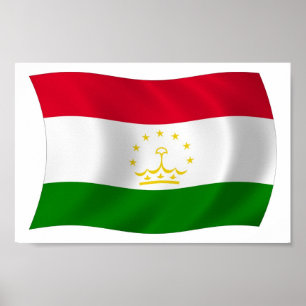 Tajikistan Flag Poster Print
