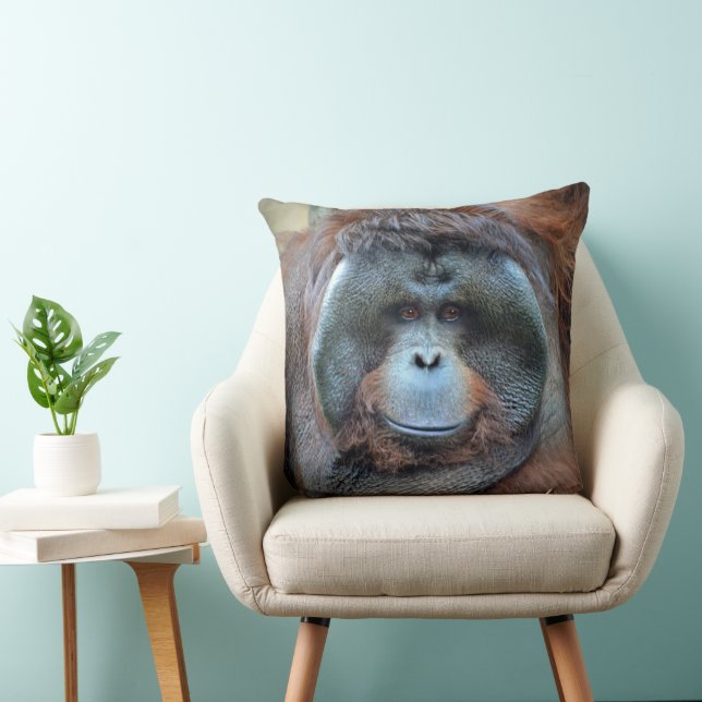 Takai  cushion (Chair)