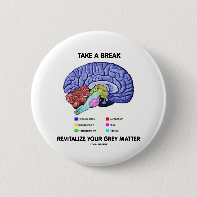 Take A Break Revitalise Your Grey Matter (Brain) 6 Cm Round Badge (Front)