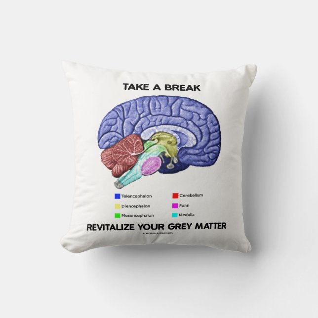 Take A Break Revitalise Your Grey Matter Brain Cushion (Front)