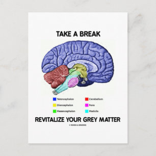 Take A Break Revitalise Your Grey Matter (Brain) Postcard
