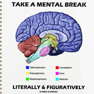 Take A Mental Break Literally & Figuratively Planner