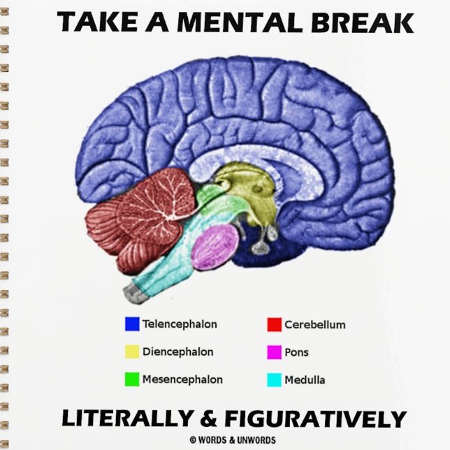 Take A Mental Break Literally & Figuratively Planner (Sound brainy advice featuring the different parts of the human brain and what you should do with it)