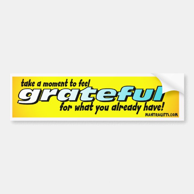 TAKE A MOMENT TO FEEL GRATEFUL BUMPER STICKER (Front)