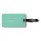 Take Adventures in Seafoam | Luggage Tag