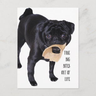 Take big bites out of life postcard