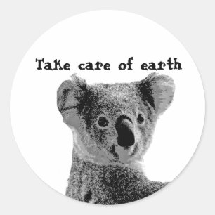 "Take care of earth" 2 Koala Bear Stickers