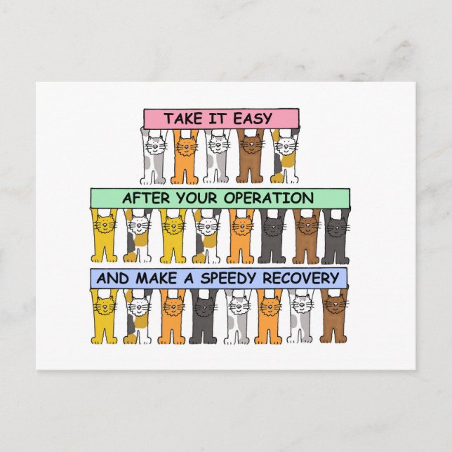 Take it Easy After Your Operation Cute Cats. Postcard (Front)