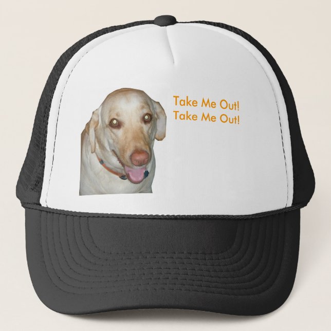 Take Me Out! Take Me Out! Hat (Front)