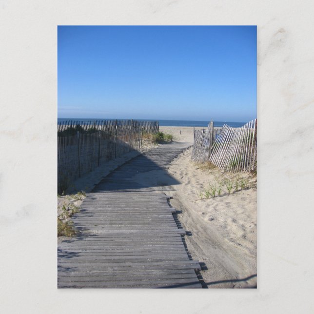 Take Me to the Beach! Postcard (Front)