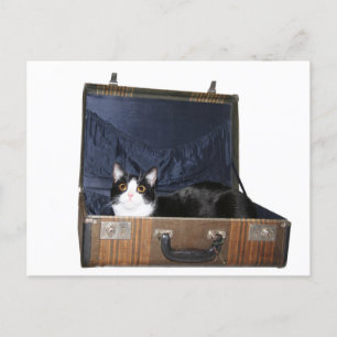 Take me with you postcard