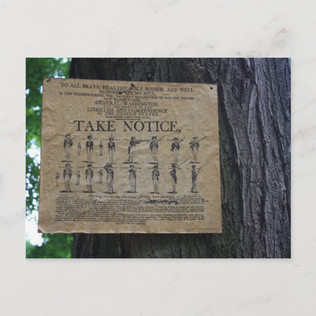 Take Notice Postcard (Front)
