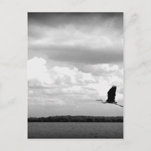 Take Off Postcard