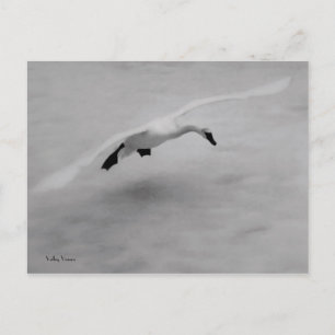 Take Off Postcard