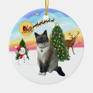 Take Off - Snow Shoe Cat Ceramic Ornament