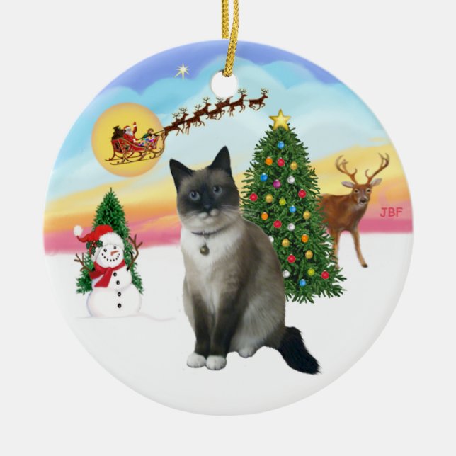 Take Off - Snow Shoe Cat Ceramic Ornament (Front)