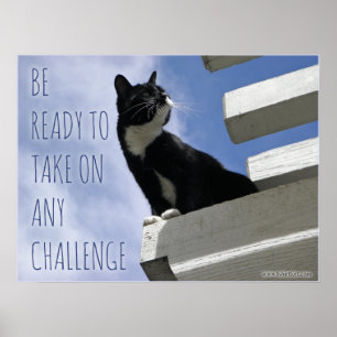 Take Over the World Cute Cat Motivation Poster